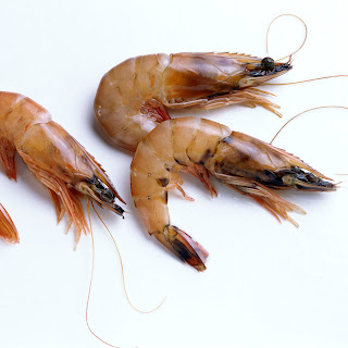 Top 16 Amazing Information about Shrimp