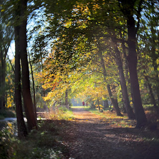 Kurpark Bad Salzuflen