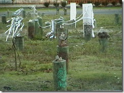 IMGA0665