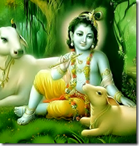 [Krishna with cows]