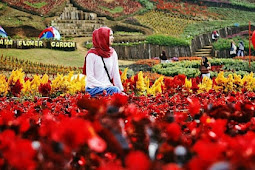 Harga Tiket Masuk Kutabawa Flower Garden Purbalingga Terbaru