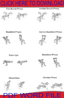 Chest Workouts