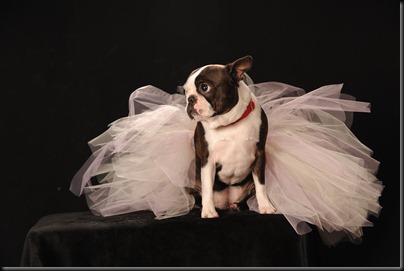 GUS_4685