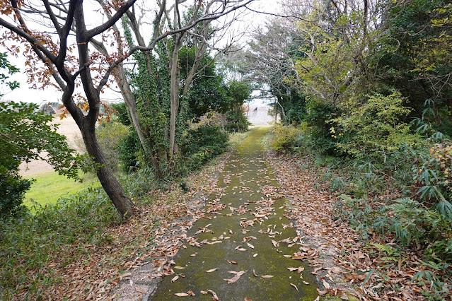 鳥取県西伯郡大山町富岡 むきばんだ史跡公園 弥生の森