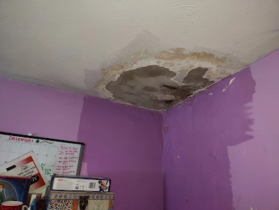 Water Damage Wall & Ceiling Damage