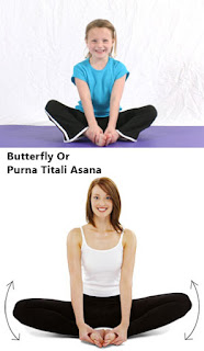 butterfly pose