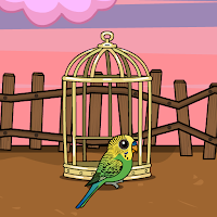 Rescue The Budgerigar From Cage Walkthrough