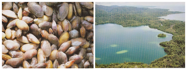 Telaga (Lake) Legaye Lol (Yonelo) - Central Halmahera Attractions