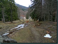 DSCN6669