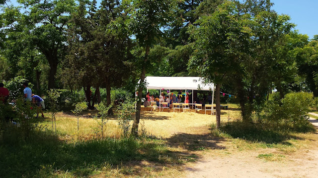 Recogiendo fresas en Finca Monjarama