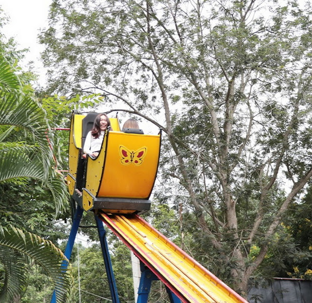 pongyang jungle coaster zipline, pongyang zipline, pongyang jungle coaster, zipline pongyang jungle coaster, zipline pongyang, pongyang