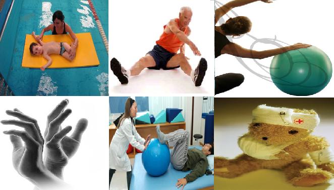 fisioterapia Brasil