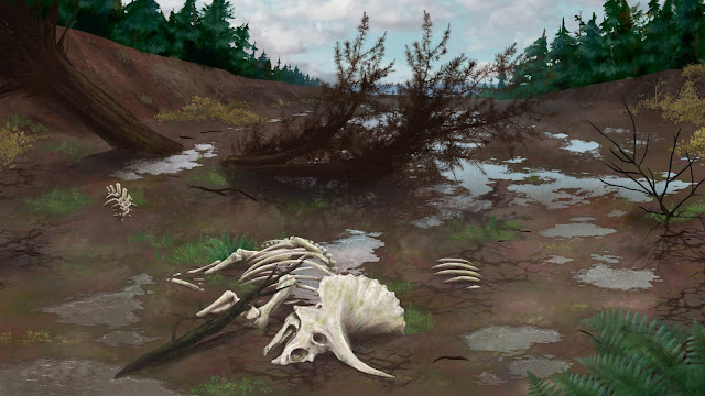 Απεικόνιση ενός απολιθωμένου τρικεράτοπα. Οι τρικεράτοπες, όπως και πολλοί άλλοι δεινόσαυροι, εξαφανίστηκαν πριν από περίπου 66 εκατομμύρια χρόνια κατά την Κρητιδική – Παλαιογενής εξαφάνιση. [Credit: NADIA DE WAAL]