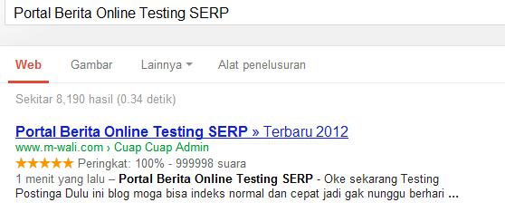 Portal Berita Online Testing SERP