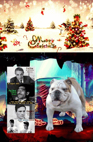Bulldog-Christmas2023-08-08z50.gif