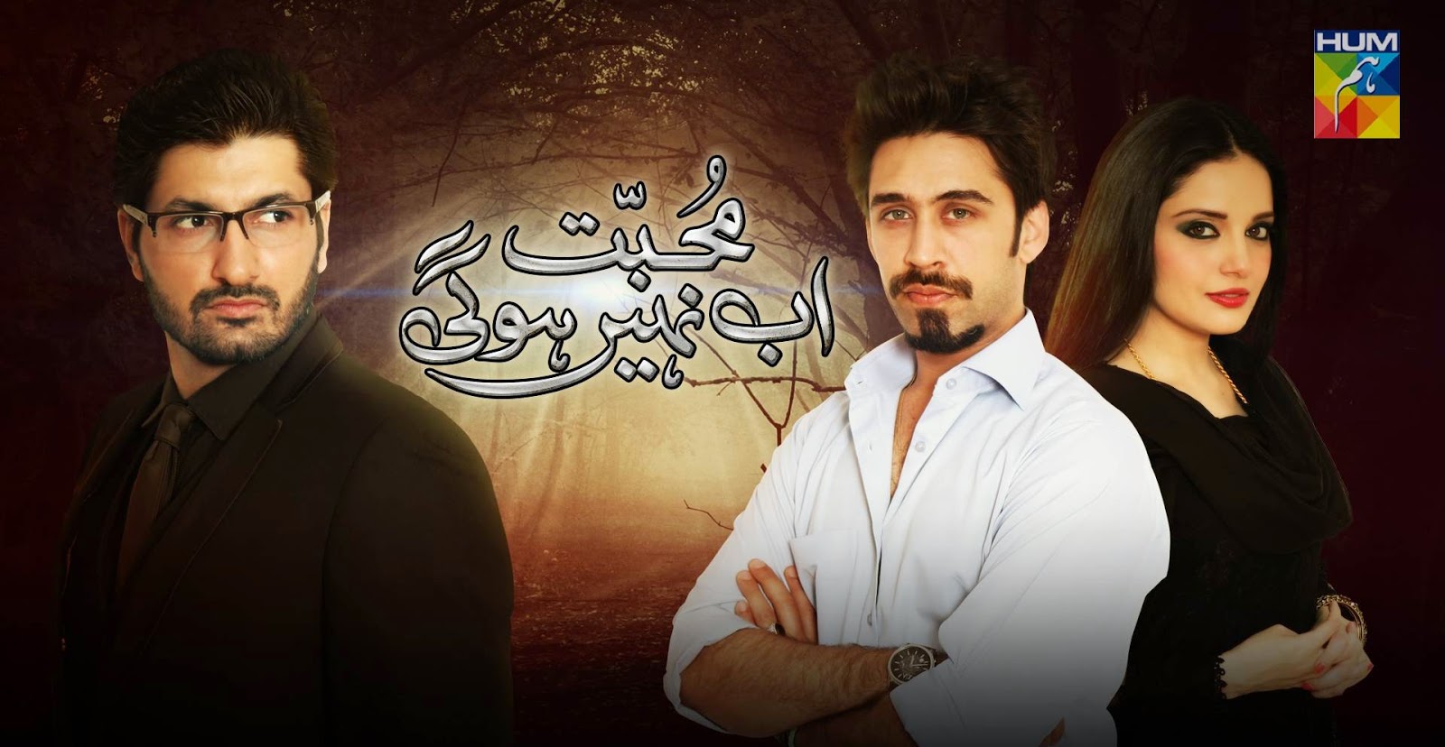 Mohabbat Ab Nahi Hogi Pakistani Channel Drama by Hum TV