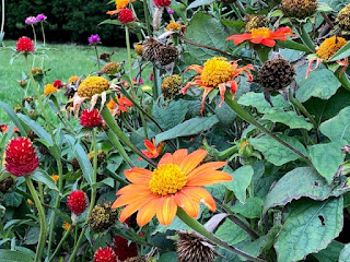 High Park flower bed