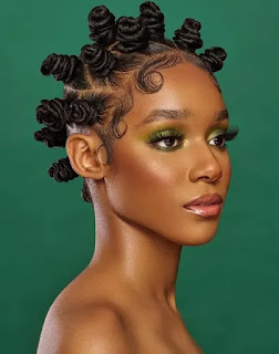 African Braids hairstyle with weave