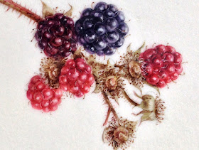 detail from watercolour of blackberries on Kelmscott vellum