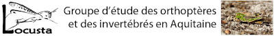 Groupe d'étude des orthoptères et invertébrés en Aquitaine