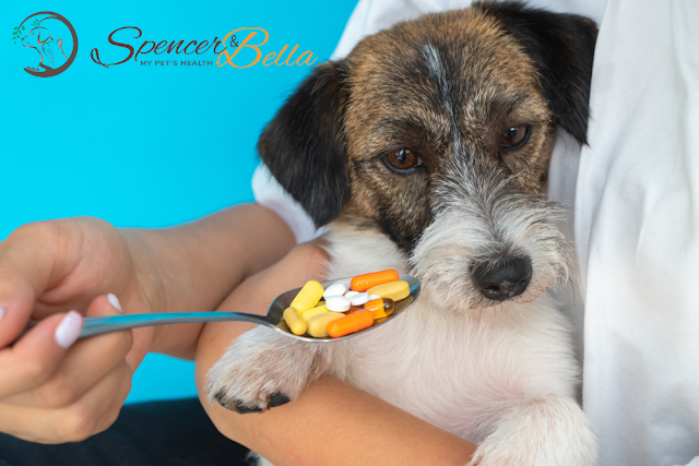  My Pets' Health is in My Hand: Why Nutritional Supplements are Important for Cats and Dogs