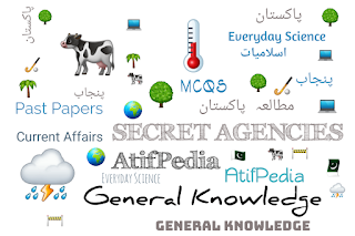 World Secret Agencies General Knowledge MCQs - 5