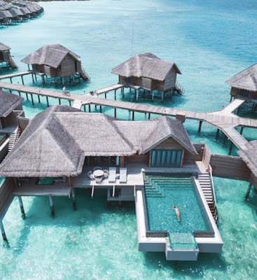 Cercasi libraio per resort di lusso alle Maldive