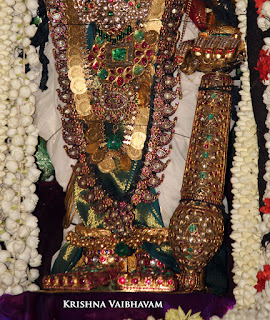 Sri Parthasarathy Perumal,Ippasi,Ammavasya, Manavala Maamunigal,Purappadu,2016, Video, Divya Prabhandam,Triplicane,Thiruvallikeni,Utsavam,