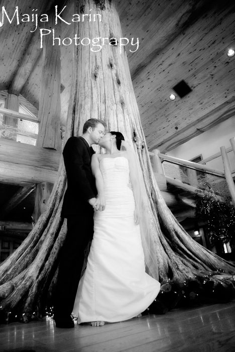 We had a whirlwind romance that lead to a beautiful winter wedding in 