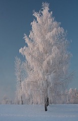 IMG_9361