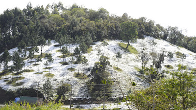 Neve em cidades brasileiras em julho 2013