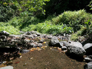 Pinoy Solo Hiker - Manggahan Falls