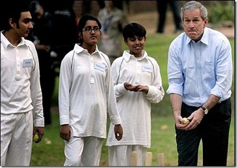 Funny-Cricket-Scraps_bushball_ap416