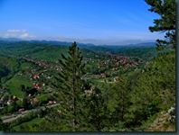 DSCN8251