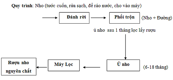 Quy trinh san xuat ruou nho