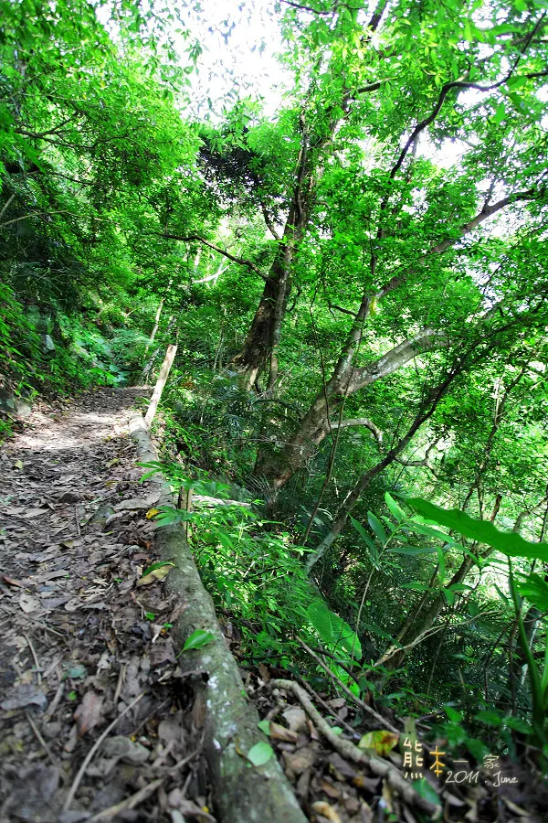 三峽雲森瀑布