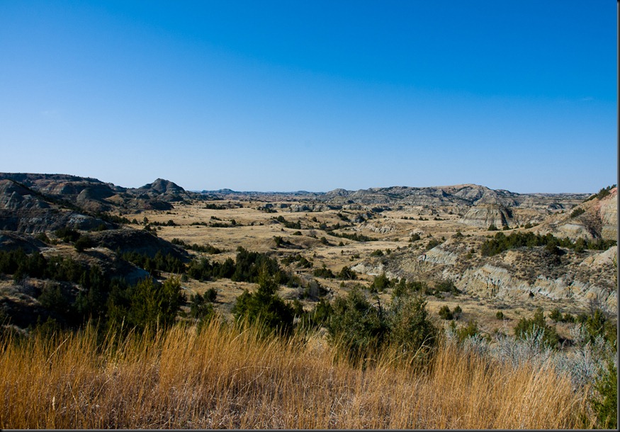 ND-01674