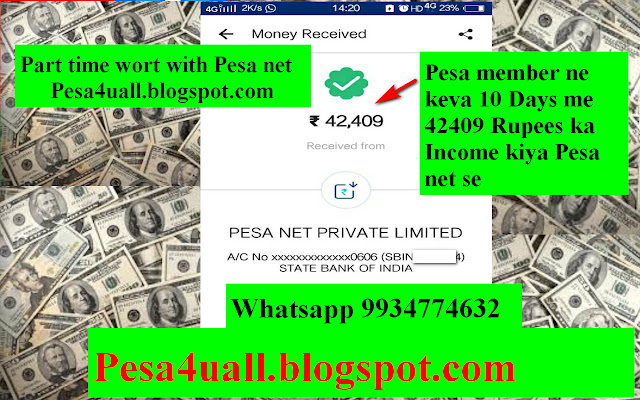 Pesa Net Member ne kiya keval 10 Days me 42409 Rupees ka Income Pesa net company se | Pesa net income proof | Pesa net payment proof February 2019