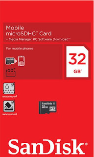 Sandisk microSD, Flash Memory Cards