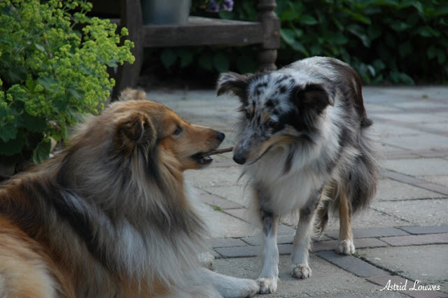 Kenzie en Enya (Pride of the Summer)