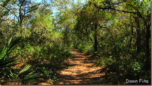 Ocala NF_026