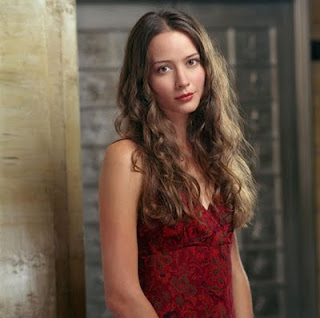 Amy Acker Artist Image