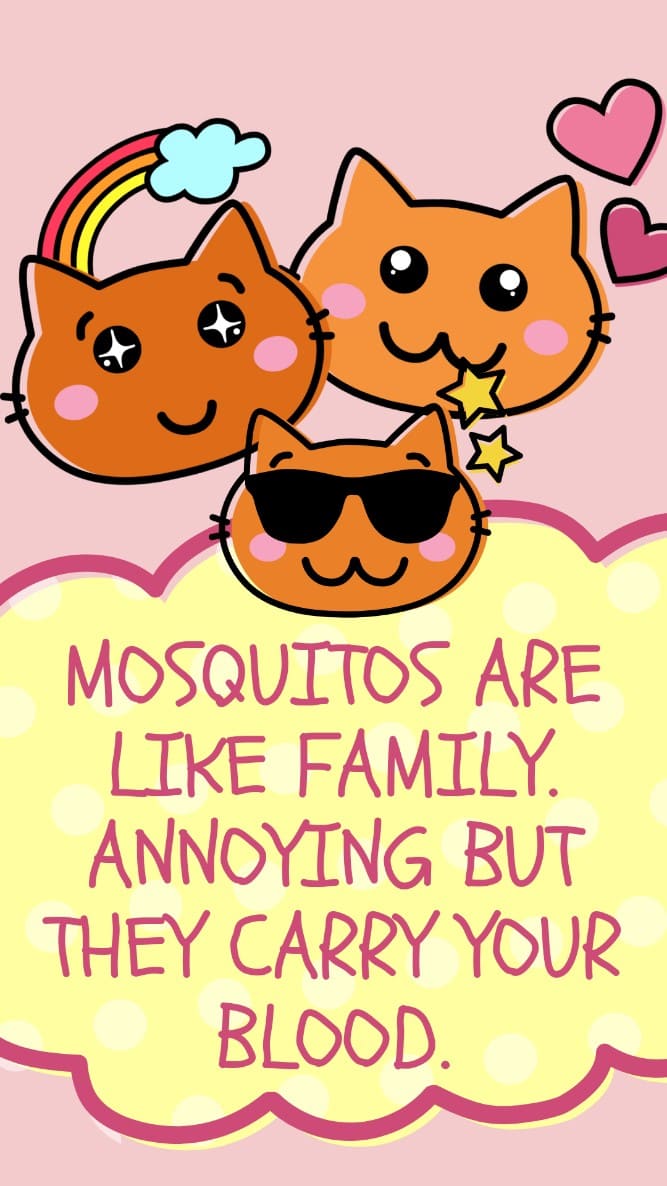 Mosquitos Are Like Family. Annoying but They Carry Your Bl00d! - Funny WhatsApp status, memes pictures, photos, images, pics, captions, jokes, quotes, wishes, quotes, SMS, Messages, wallpapers.