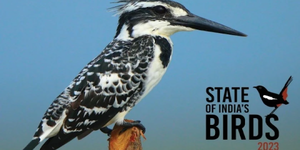 State of India's Birds Report, 2023