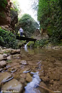 Aguas transparentes en Las Chorreras