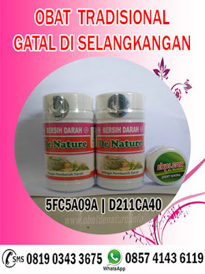 OBAT TRADISIONAL GATAL DI SELANGKANGAN 