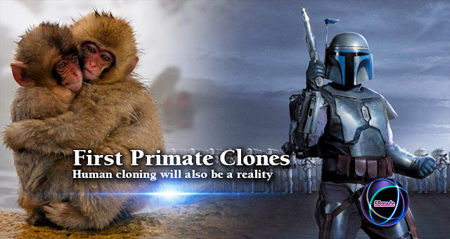 First Primate Clones - Human cloning will also be a reality