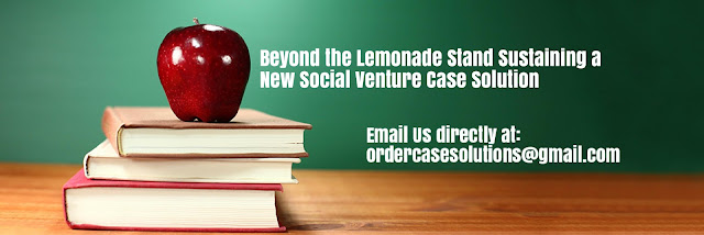 Beyond Lemonade Stand Sustaining New Social Venture Case Solution