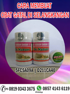 CARA MEMBUAT OBAT GATAL DI SELANGKANGAN