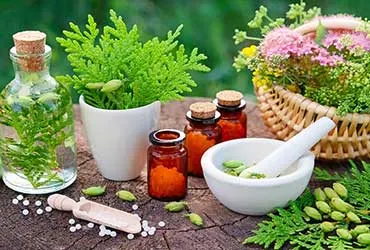 Naturopathy less expensive than conventional medicine in the long run